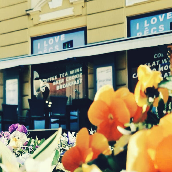 Lefőzték az utolsó kávét: bezár az ILP Cafe is Pécsen