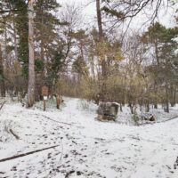 IMG_20200323_152811