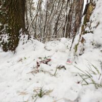 IMG_20200323_152920