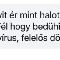 Komment14