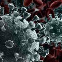 cropped-COVID-19-1.jpg