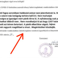 kamu levél