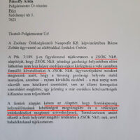 Zsök levél