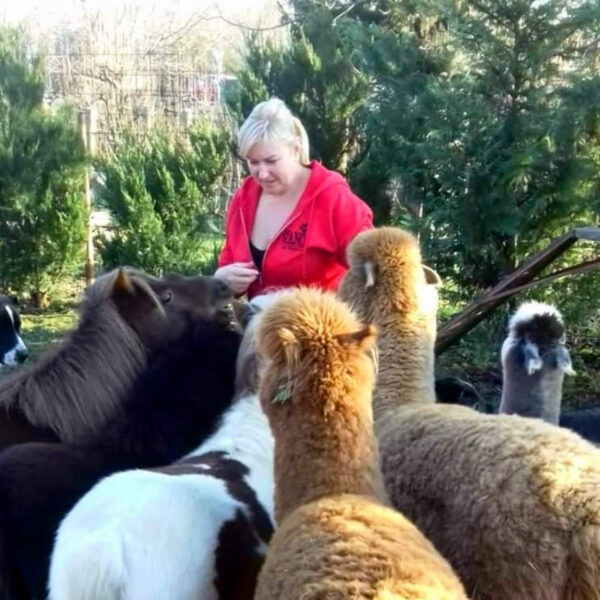 Sírva kér támogatást a pécsiektől a Mancs Ranch tulajdonosa