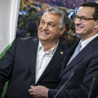 cropped-D_MTi20200721004.jpg