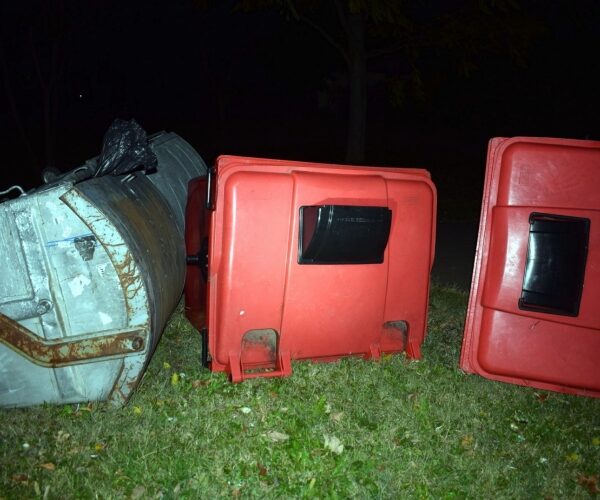 A vandálok a kukák után egy nőt is bántottak