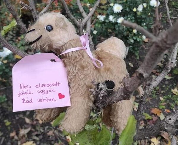 Pécsett is megjelentek a plüssök, szívszorító történet áll mögötte