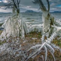 Balaton_Böröczky Bulcsú