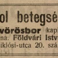 jarvany vorosbor