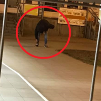 szatír diana tér 2
