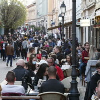 _MG_2482