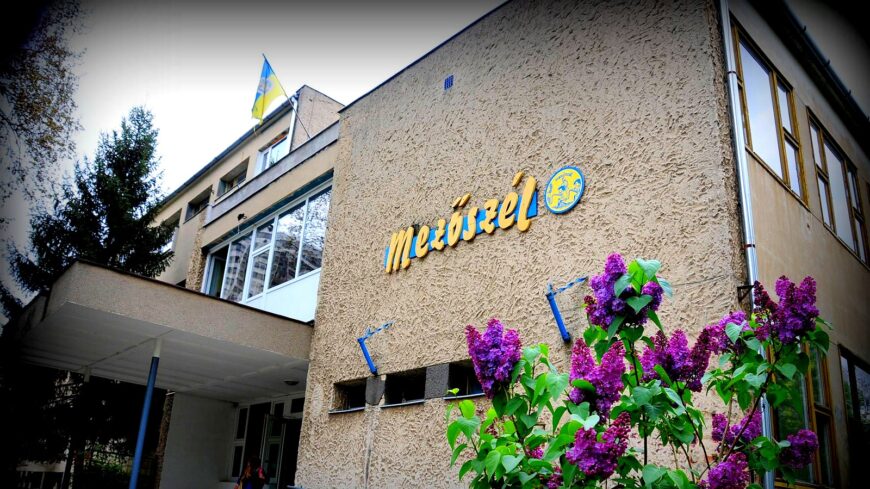 Mezőszél