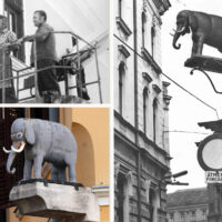 elefant collage