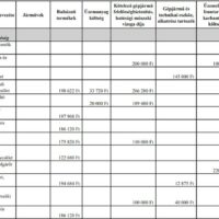 önkéntes_mentőszervezetek_támogatása_2021_1200