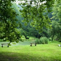 puspokszentlaszloi_arboretum