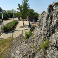 IMG_20210721_105241