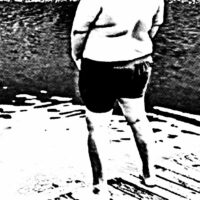 cropped-vizel.jpg