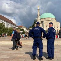 242096504_952711641979197_730508077418101798_n