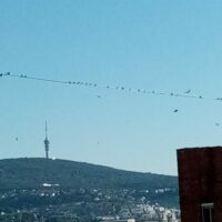 cropped-IMG_20210911_082619.jpg