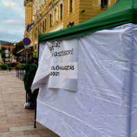 cropped-előválasztás.jpg
