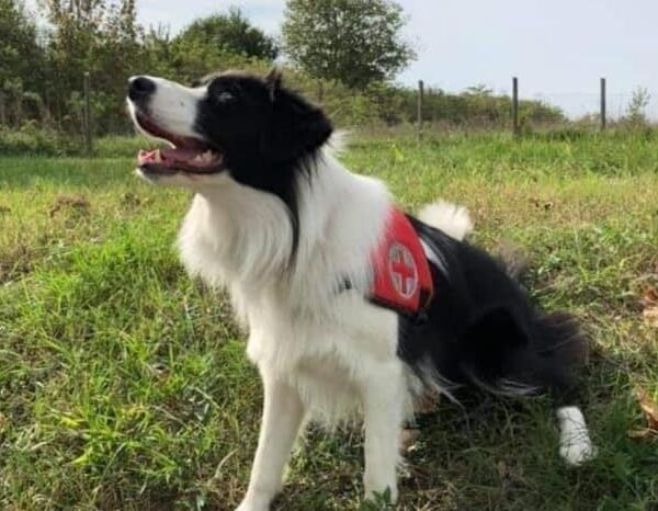 Meglett az idős bácsi, 24 órát töltött a szabad ég alatt
