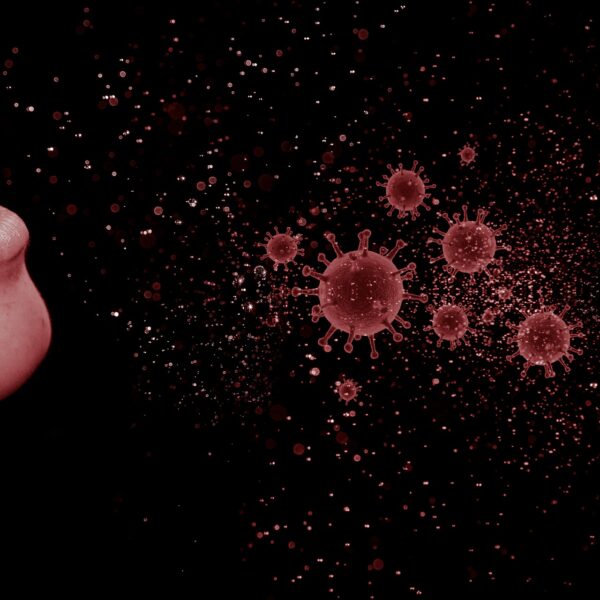 Hova tűnt az influenza?