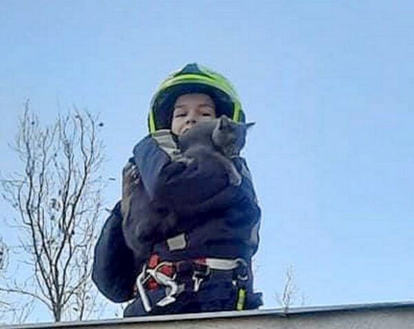 Harmadik emeletről lezuhant cicát mentettek a pécsi lánglovagok