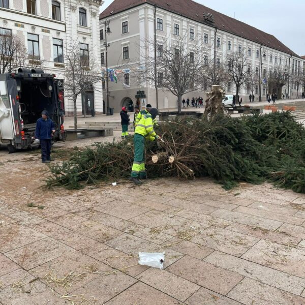Lebontották a pécsi karácsonyfát, hivatalosan is véget ért az ünnep