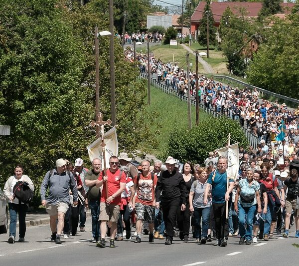 Ilyen lesz az idei máriagyűdi zarándoklat