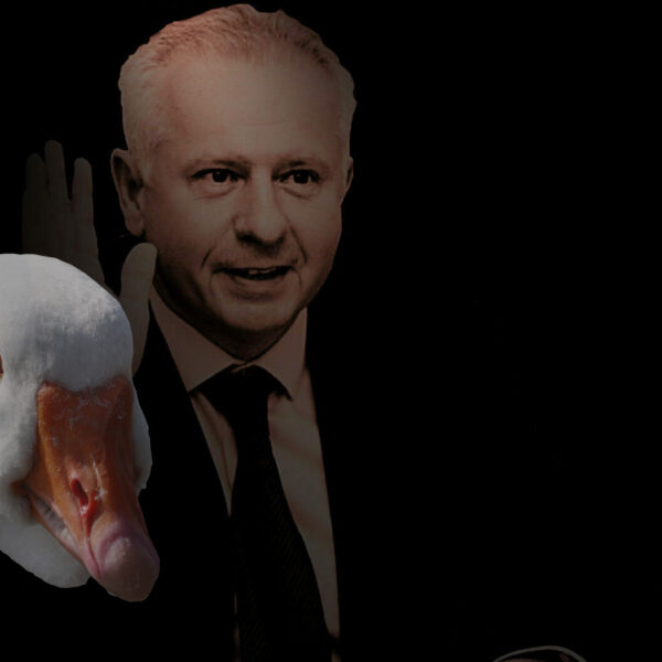 NE GÁGOGJON! – osztotta ki az ellenzéki képviselőt Pécs polgármestere