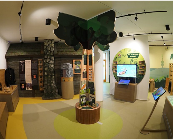 Learn Everything About the Mecsek – The MecseXplorer Exhibition is Now Open!