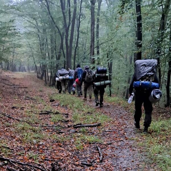 Túlélőprogramokat szerveznek a mecseki „vadonban” – Bear Grylls magyar hangja a „Farkas”!