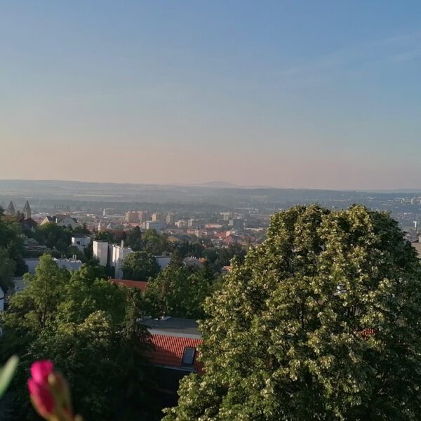 Oda Pécs (kétes) dicsősége