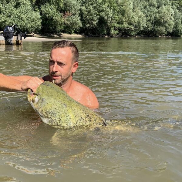 Nemcsak jó borász, hanem nagy horgász is Szomor Tamás – kapitális harcsát fogott!