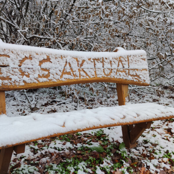 Kifehéredett a Mecsek