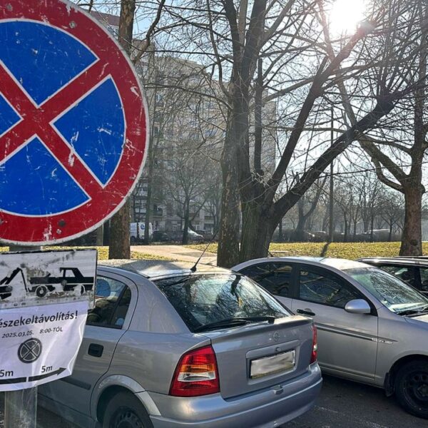 Mindig csak a gond: szabálytalanul parkoló autók gátolják a varjúfészkek eltávolítását Pécsen