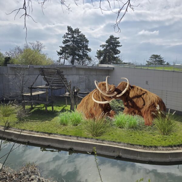 Szenzáció! Mamutokkal bővül a pécsi ZOO