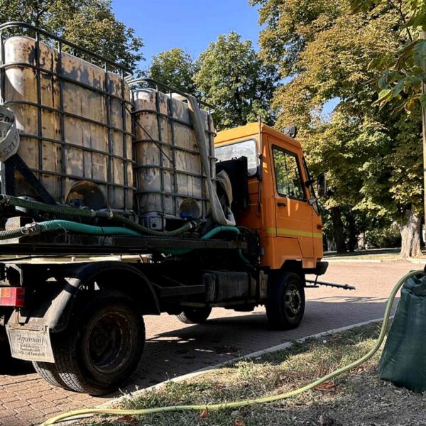 Öntözőzsákokkal védik a facsemetéket a Szent István téren