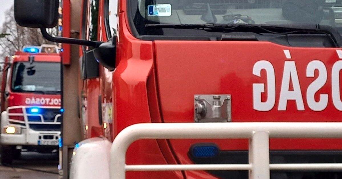 Gyerekeket szállító busz hajtott fának Pécs-Hirdnél