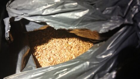 Harminc kiló illegális dohánnyal bukott le egy idős sofőr Pécs közelében