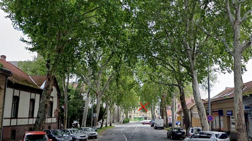 pecs_szabadsag_ut_platanfak2_1000