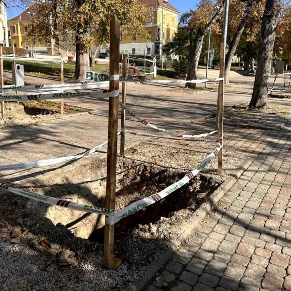 Rendesen feltúrták a hangulatos pécsi belvárosi teret