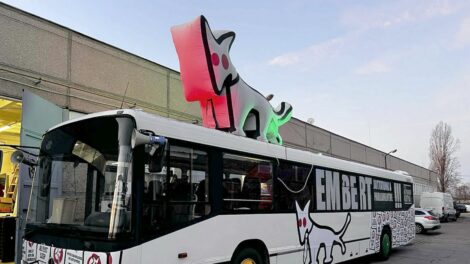 Különleges busszal kampányol Pécsen a kutyapárt