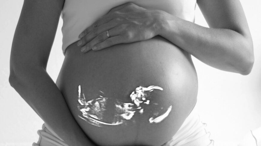 clickerhappy-pregnant-518793_1920