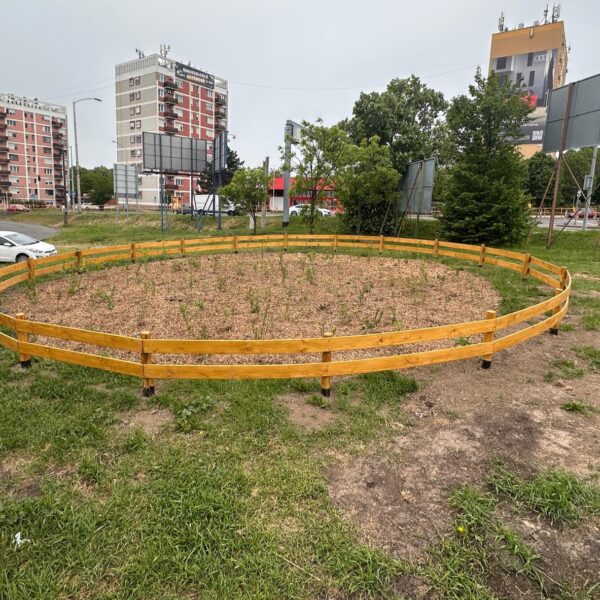 Újabb minierdőt hoznak létre Pécsen