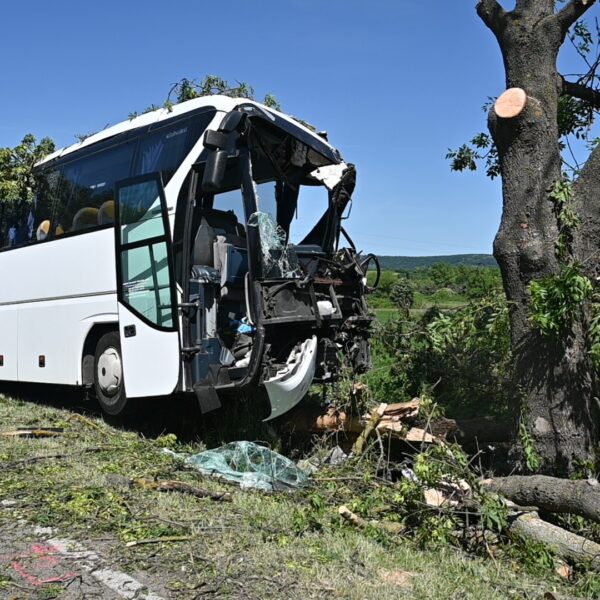 Ez a szabály: különjáratú buszon kötelező a biztonsági öv használata, ha van!