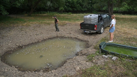 Bajban a Kelet-Mecsek? Szárad az erdő, itatni és etetni kell az állatokat