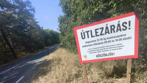 Figyelem! Pécs és Orfű között veszélyes fákat távolít el a Mecsekerdő Zrt.