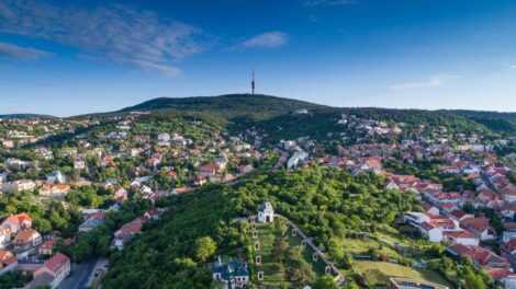 Öt területen „zöldítenének” Pécsett, szavazhatnak a lakók